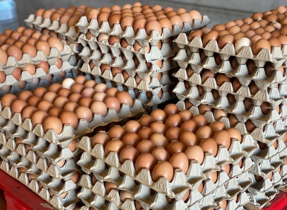 Huevos frescos